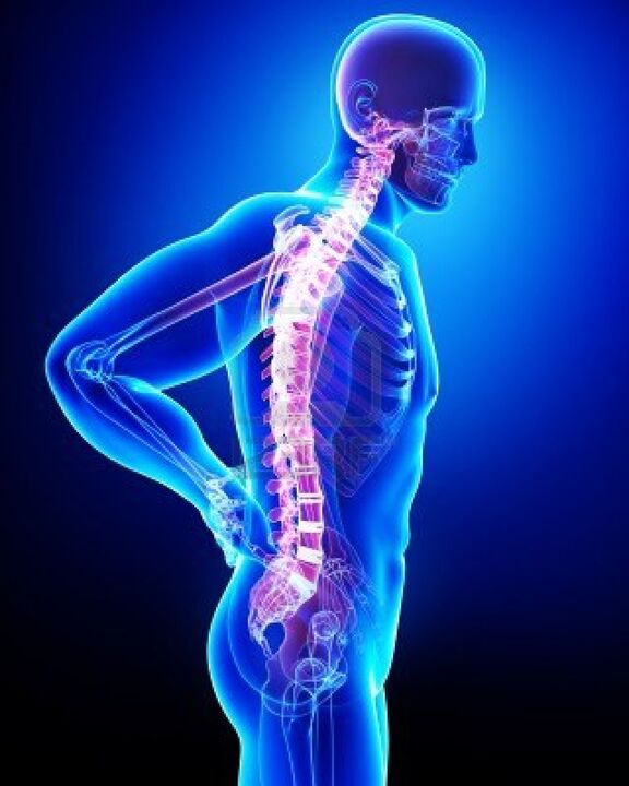 The human spine is affected by osteoarthritis